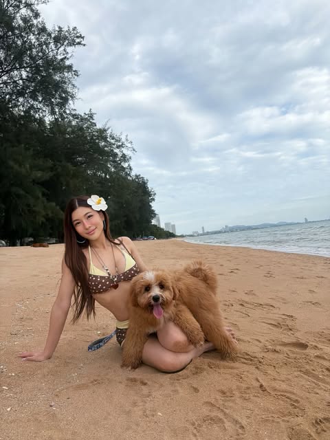 กุ๊บกิ๊บ