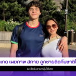 ลูกเกด เมทินี