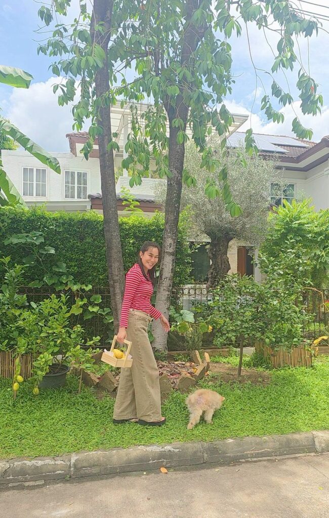 จอย รินลณี
