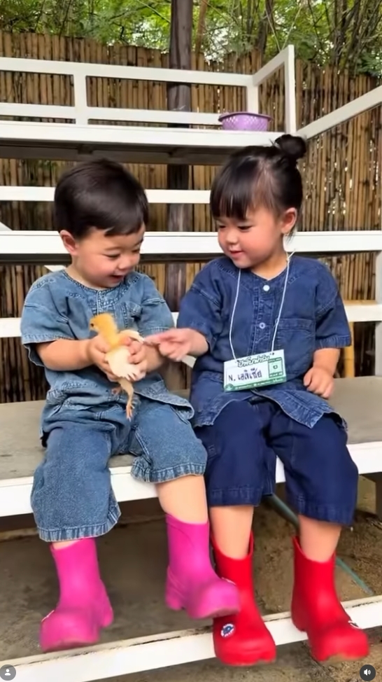 แพทริเซีย
