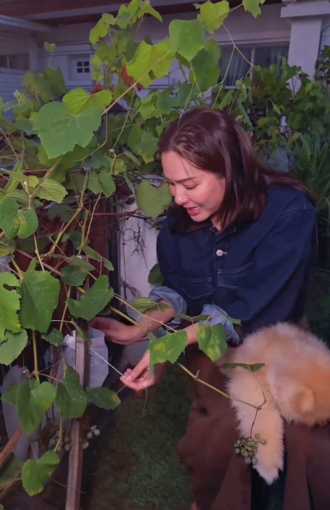 จอย รินลณี