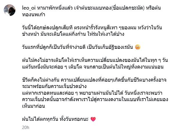 ลีโอ พุฒ
