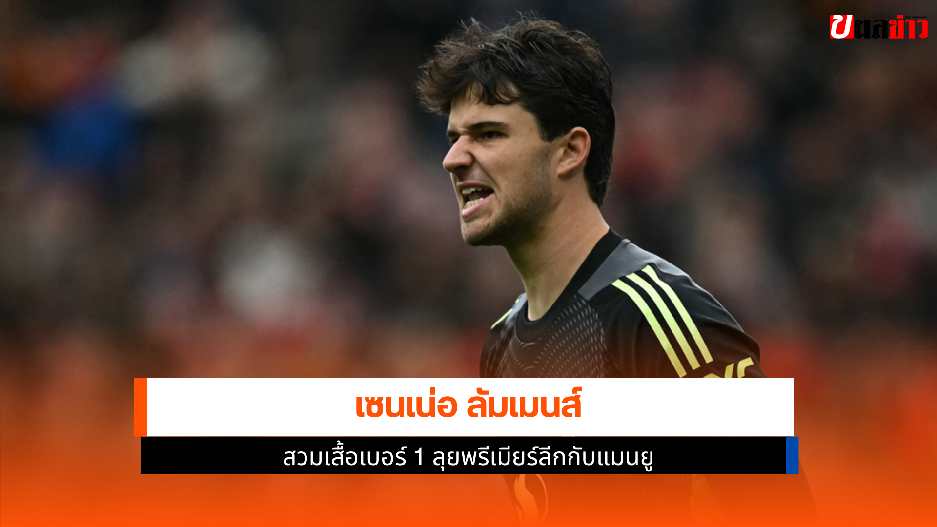 เซนเน่อ ลัมเมนส์