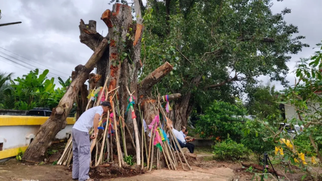 เลขเด็ดพิธีค้ำโพธิ์