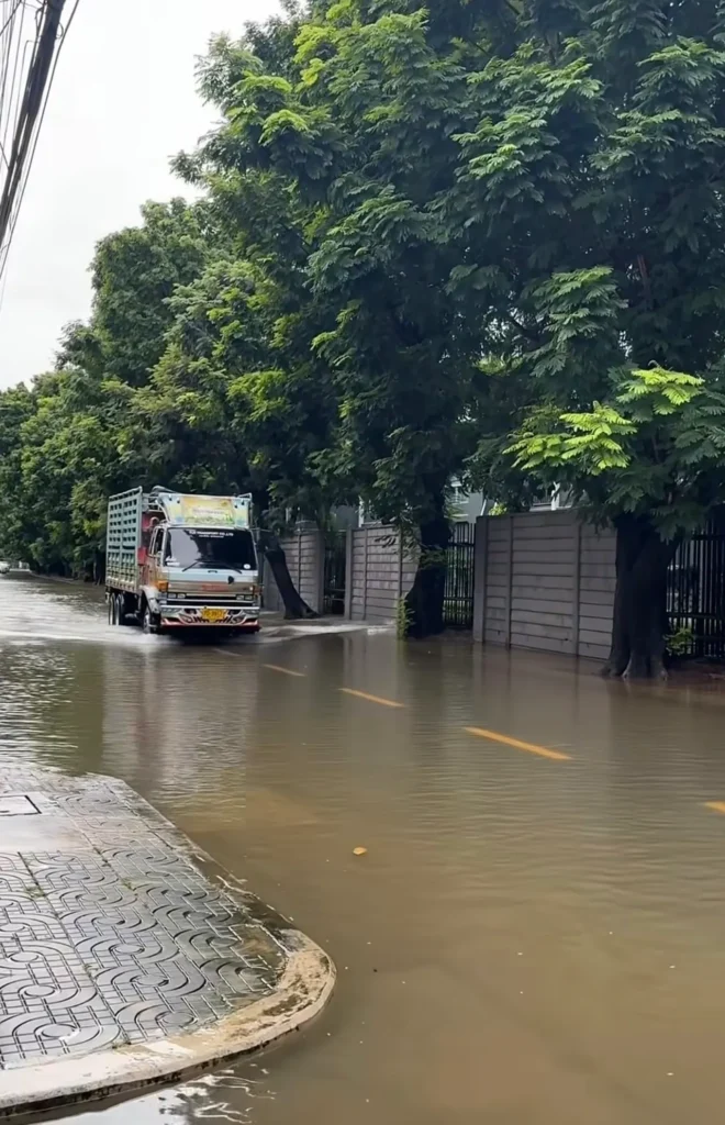 ดีเจนุ้ย