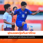 ชบาแก้ว