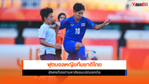 ชบาแก้ว