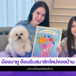 น้องมายู