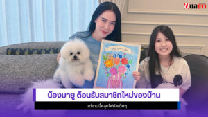 น้องมายู