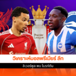 ลิเวอร์พูล พบ ไบรท์ตัน