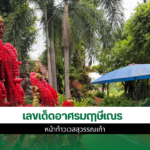 เลขเด็ดอาศรมฤาษีเณร