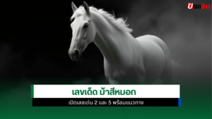 หวยม้าสีหมอก