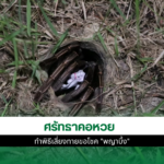 เลขเด็ดพญาบึ้ง