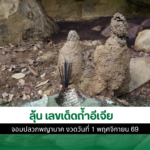 เลขเด็ดถ้ำอีเจีย